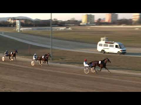 2020.02.08. 05. futam - KAZEIN DÍJ