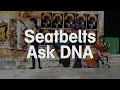 Seatbelts Ask DNA With Lyrics