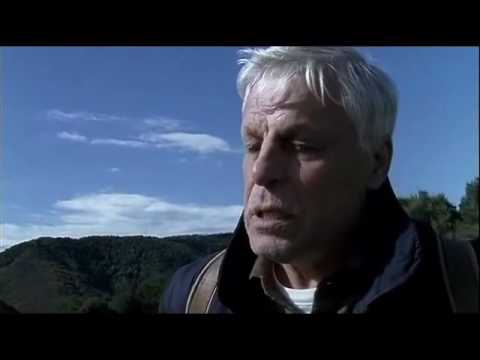 L' ULTIMO PADRINO   Film Completo