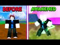 Going From Noob To Mink V4 Awakened In One Video Blox Fruits
