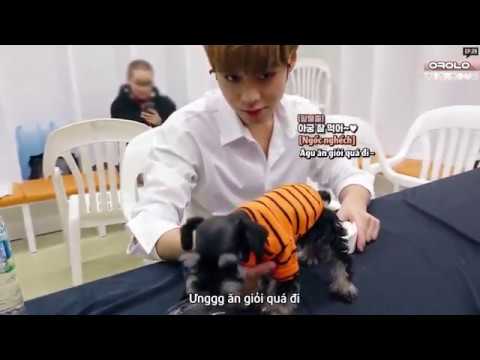 [WHVN][VIETSUB] 181019 JIHOON x MAX CUT @ OK WANNA ONE EP.29