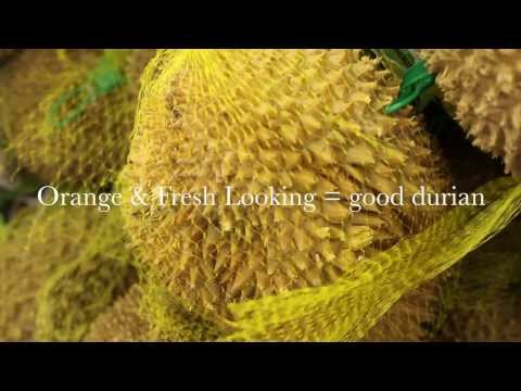 download lagu mp3 mp4 How To Pick Frozen Durian, download lagu How To Pick Frozen Durian gratis, unduh video klip How To Pick Frozen Durian