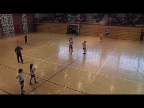 ŽRK RUGVICA - RK SESVETE AGROPROTEINKA 19:19 (31:30 penali)