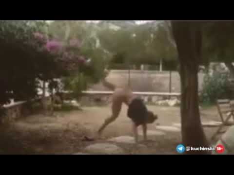 It bilan opahon xxxxx