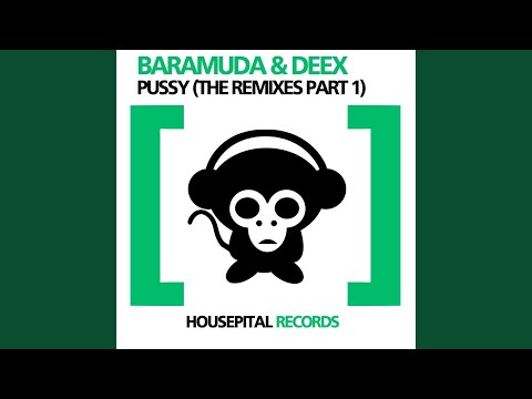 Pussy (DJ Synchro Remix)