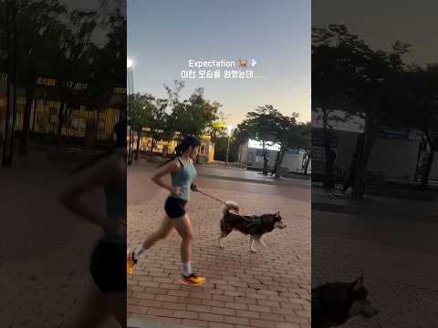 개 끌려가는중 🐕💦 ㅋㅋㅋㅋㅋㅋㅋ10km