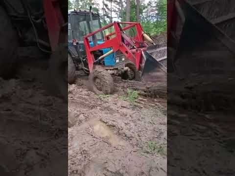 Синий Трактор: Топ 🚜✨