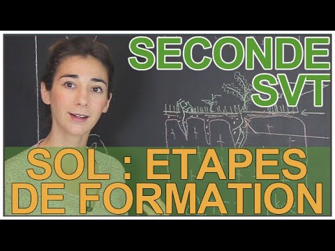 Les étapes de la formation d'un sol