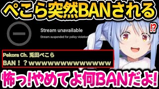 ぺこらいきなり誤BANされ焦るｗ魔法少女ノ魔女裁判※ネタバレ注意【ホロライブ切り抜き/兎田ぺこら】