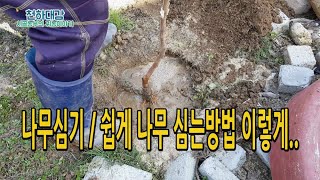 나무심기 / 나무 심는방법 이렇게하면 쉬워요.