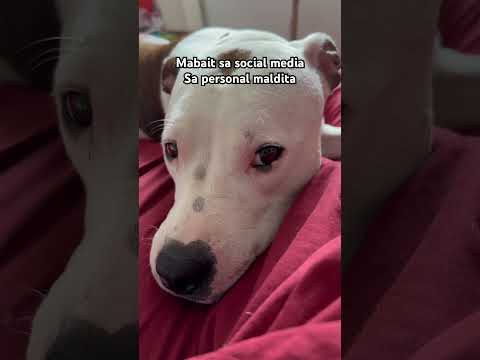 Biro lang bawal pikon 😅