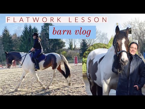 Flatwork Lesson and Yard Vlog | Riding With Rhi - UK Equestrian YouTuber
