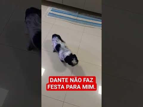 GANHAMOS A VIDA. DEVEMOS HONR&Aacute;-LA.