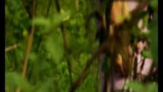 Author Kate's long line of success