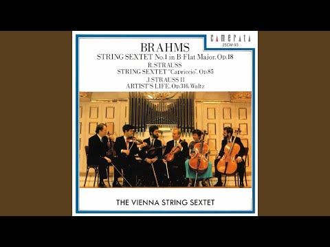 Artist's life, Op. 316 (Transcription by Rudolf Leopold)