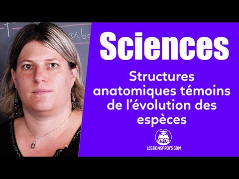 Structures anatomiques témoins de l'évolution des espèces