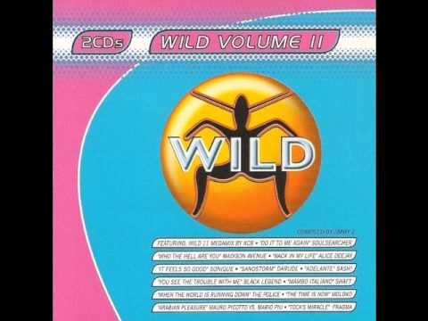 WILD FM VOLUME 11 - WILD VOLUME 11 MEGAMIX (KCB)