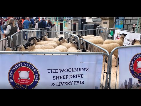 The Woolmen Sheep Drive and Livery Fair 2025| K4 Security