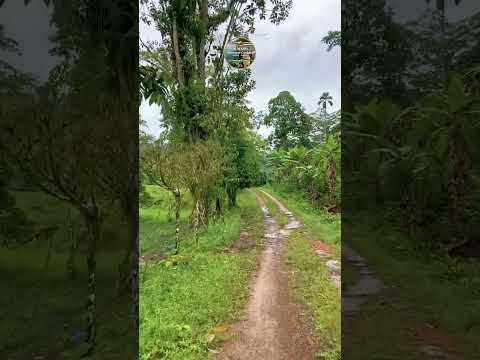 Media Libra Río Negro municipio Córdoba Tachira Venezuela 🇻🇪