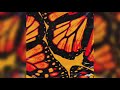 ASTN - Butterflies