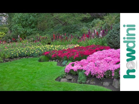 download lagu mp3 mp4 How To Maintain A Flower Garden, download lagu How To Maintain A Flower Garden gratis, unduh video klip How To Maintain A Flower Garden