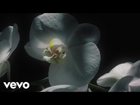 Video thumbnail for Sunrise (Always Comes Around)