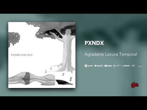 Agradable Locura Temporal - Panda (PXNDX)
