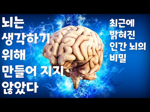 10가지 놀라운 비밀을 밝히는 심리학 이론