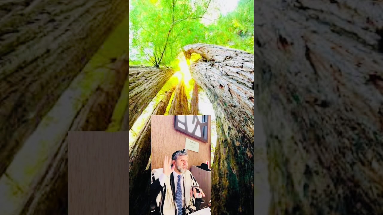 הרב אבישי לוי:פורים הישועות שירשנו מאבותינו