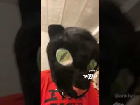 Ankhal Monopoly Preview 🔥