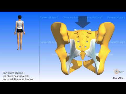 comment soulager l'inflammation aux sacro iliaques
