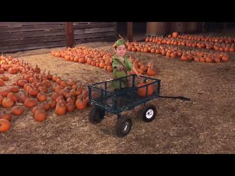 download lagu mp3 mp4 Nancys Pumpkin Patch, download lagu Nancys Pumpkin Patch gratis, unduh video klip Nancys Pumpkin Patch