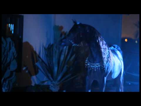 ALSHAKHOURA FARM Naif ALRayyan