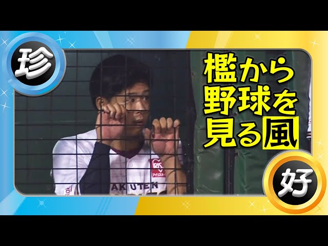 檻から野球を見たり、色々【6月・7月(珍)】