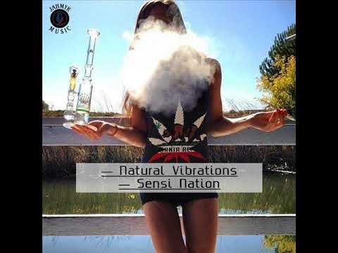 Natural Vibrations ft. Papa T - Sensi Nation