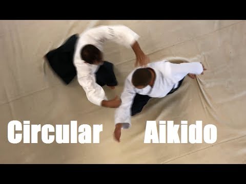 Dynamic and Circular Aikido - Practice in Hungary