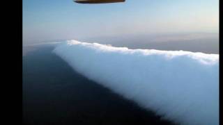 ADORÁVEIS CRIATURAS.wmv