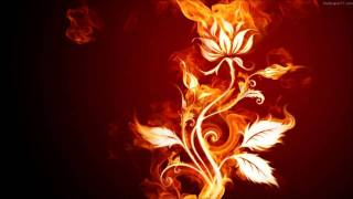 Lucie Silvas - Nothing else matters