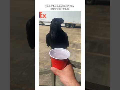 bro is downloading your face so that he’ll remember you’re friend for life