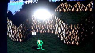 PAL NES Games On An NTSC NES Problems