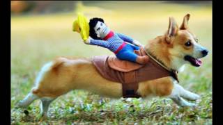 Glen Campbell Cowboy Hall of Fame (Jimmy Webb composer)