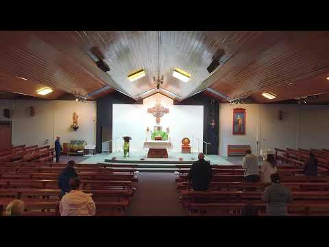 Holy Mass (10am Live) - Thursday 19th October 2023