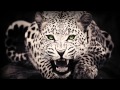 Lebanon Hanover ~ Midnight Creature 