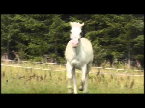 ♥ Axel happiness ~ 09.08.14