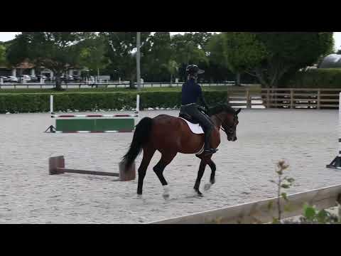 Madden Method - Beezie giving Katherine a lesson