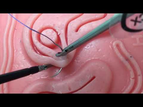 18.102MUL Laparoscopic Intracorporeal Suturing: Fundamentals and Tips & Tricks for New Learners