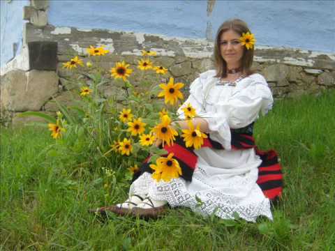 Dumitru Farcas - roata feciorilor