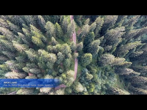 ANDRIJANE - Sve će ceste opet postat ravne