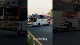 Download lagu Bus Eka Cepat Surabaya Solo Yogya Purwokerto Luxury mp3
