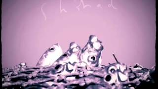 Shihad - Ghost from the Past